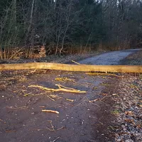 20230314_182928.jpg