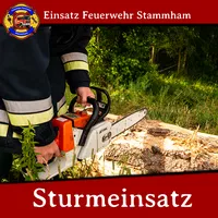 sturmeinsatz.png