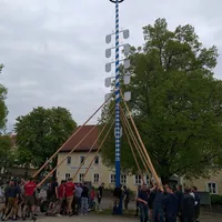 maibaum_stammhamjpg_resized_2.png