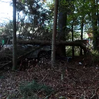 img_1834.jpg