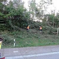 dscn0059.jpg